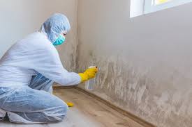 Best Water Damage & Mold Remediation  in Maurice, LA