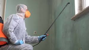 Best Residential Mold Inspection & Testing  in Maurice, LA